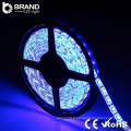 Rgb chaud wihte cool blanc ce rohs prix bon marché Chine fournisseur dmx led strip